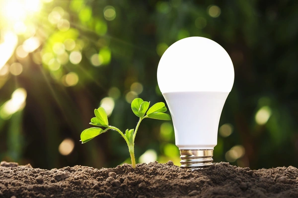 LED bulbs